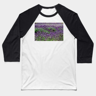 Lavender floral Display Baseball T-Shirt